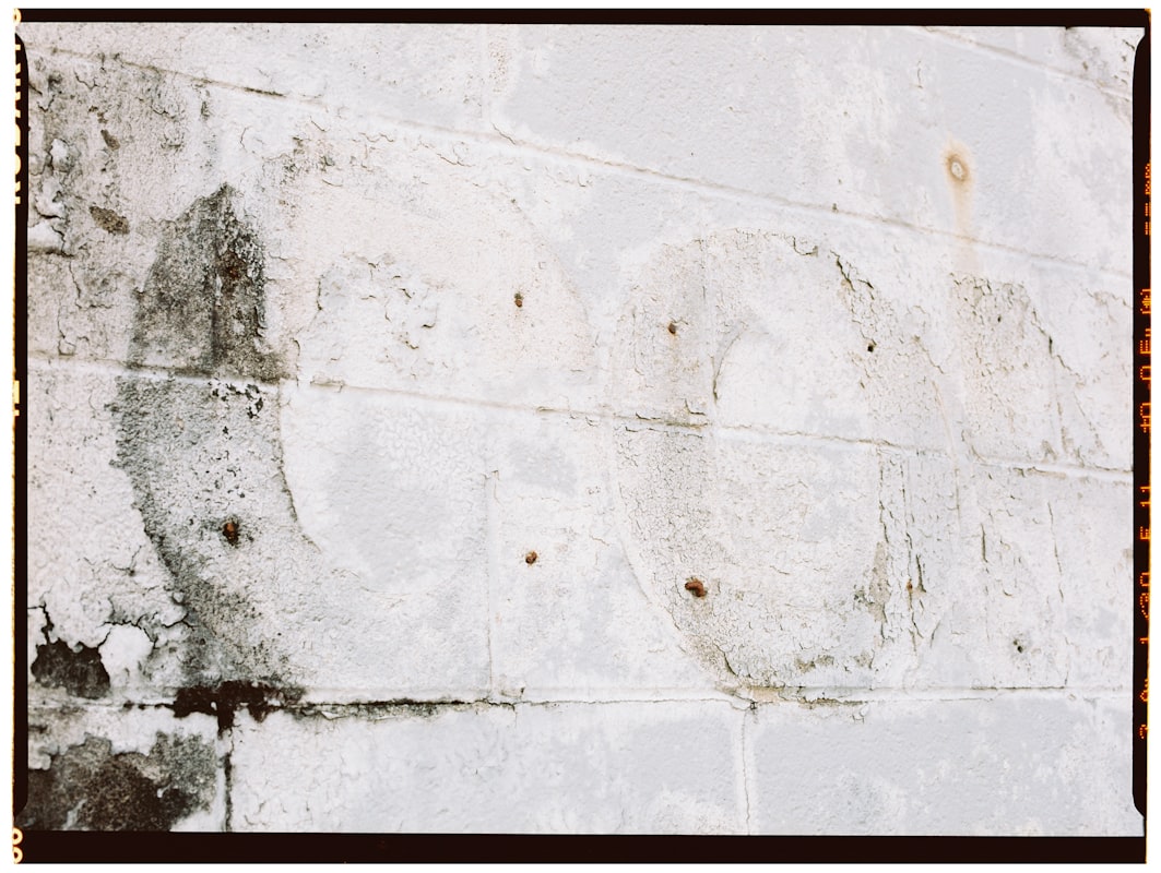 Storm Damage Repair service in Auburn, WA